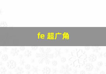 fe 超广角